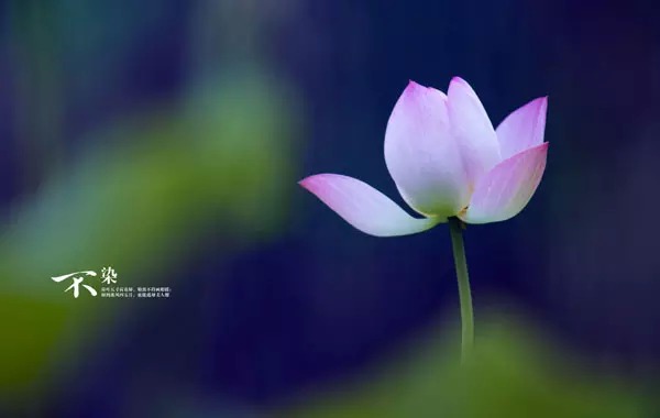 念观世音菩萨三年多瘫子康复
