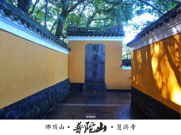 同登彼岸，不为渡河，是为度梦