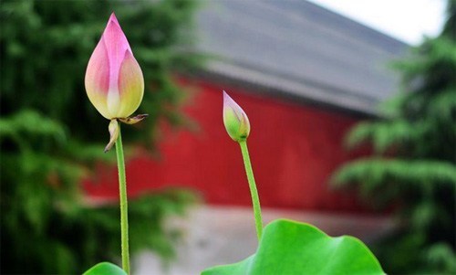 跌倒不一定是坏事，有时会有意外的收获