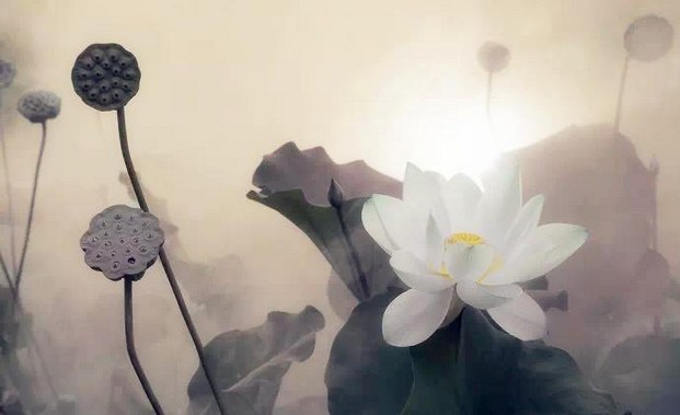 不孝父母不敬三宝的苦报