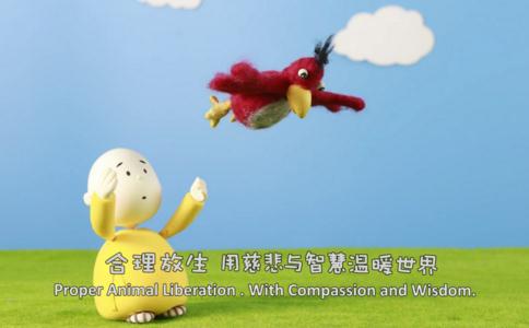 无力救度菜场的许多物命，该怎么办