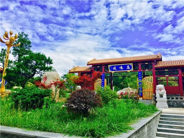 若从烈焰中觅得清凉地，非冷眼人不能得