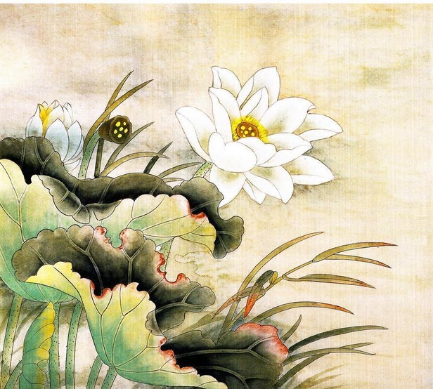 是否以见相见光，来论定修行