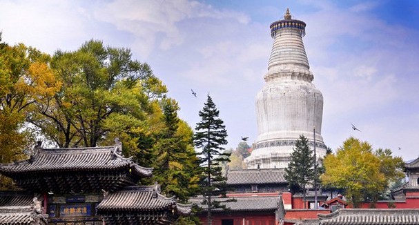 文殊发塔下的深思