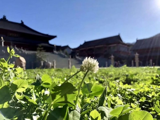 爱女的离世，让我扔掉「铁饭碗」，捧起「金饭碗」