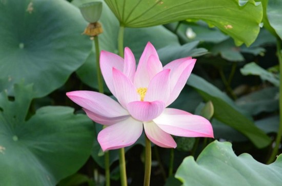 孑然此一身,生时骨肉连,死后各分散