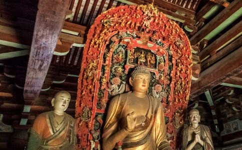 往生后发愿回娑婆世界，会不会又再堕落