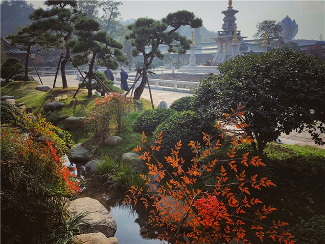 知初出家，必住丛林，先修福本