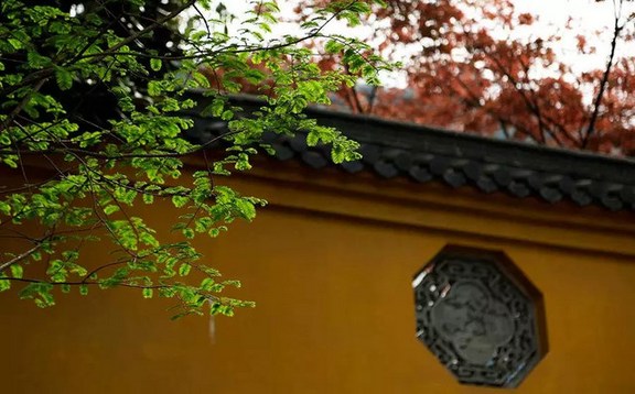 在生活中修行，红尘中历练