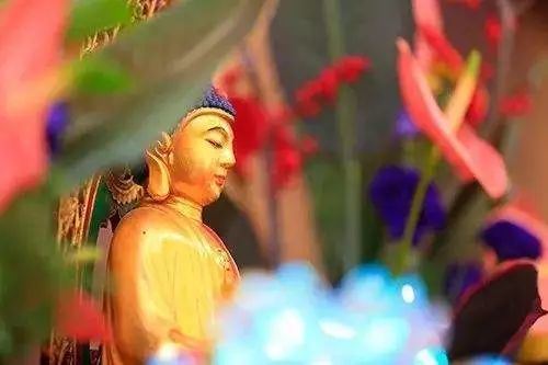 昼夜十万佛号如何理解