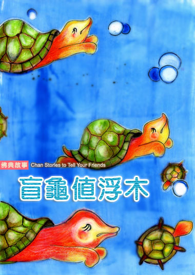 盲龟值浮木
