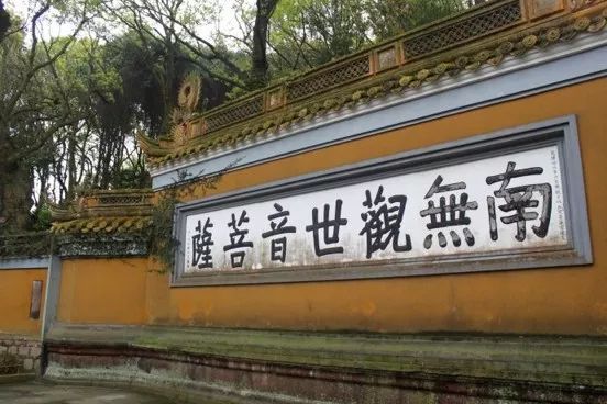 狐狸精跟着狮子王