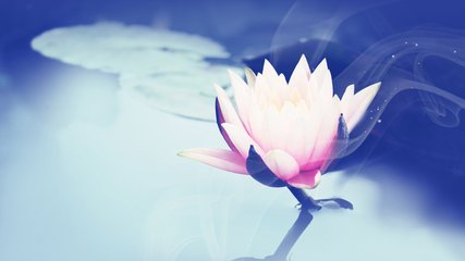 十种不善业的果报差别
