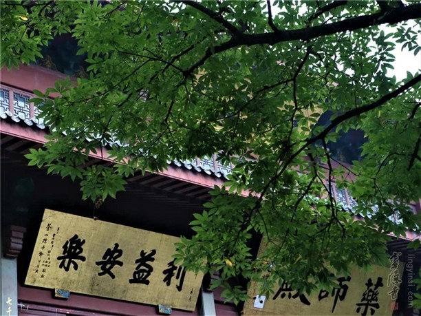 超荐父母，当发真实之心