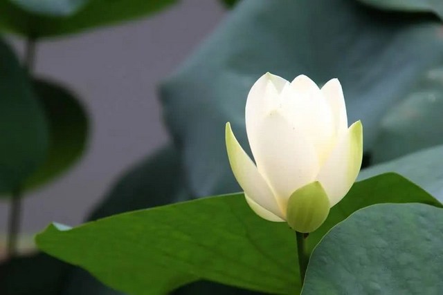 法无自性，随心所现；所现之法，全是自心