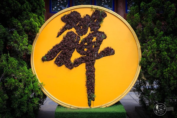 这色身是要来受这娑婆劫的