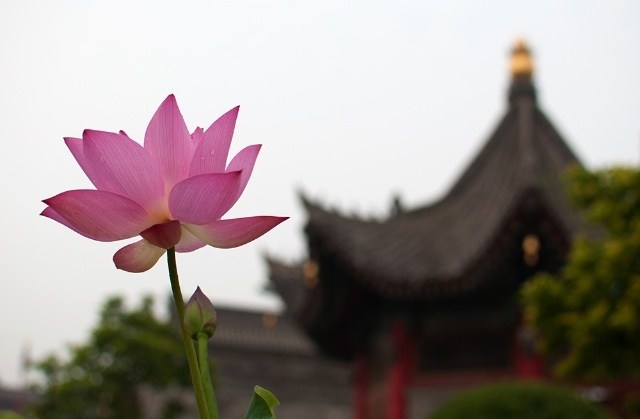 稍得世间智一点皮毛，便以为大彻大悟了