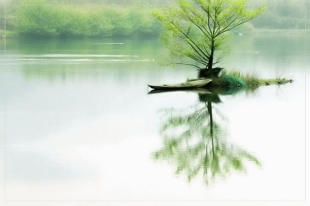 谦卑的力量
