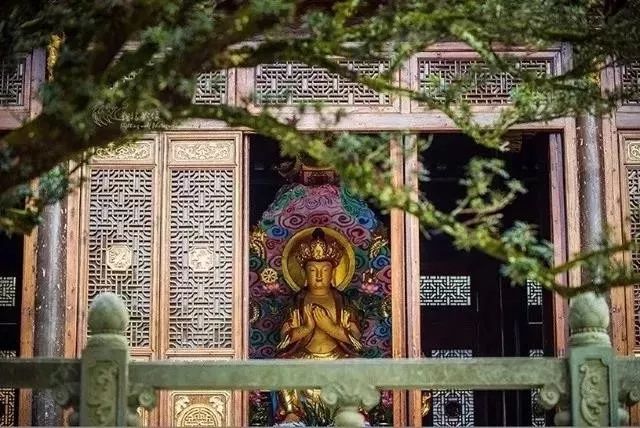 三界虚伪，唯此真实