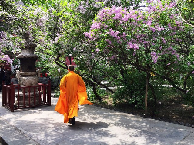 游名山不愿西方
