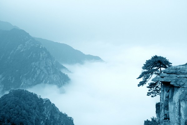 人心不正，太聪明反而害了自己