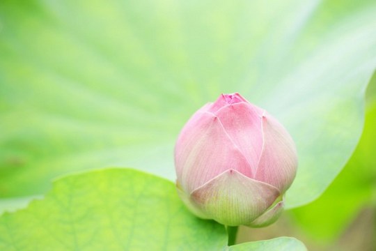 暇满人身最难得