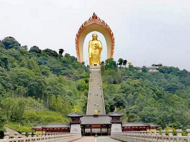 出离心不切，佛号提不起来怎么办