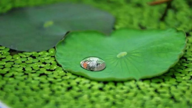 极乐世界是虚无缥缈的吗