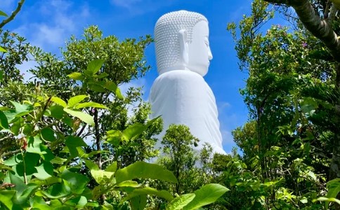 专修净业，一念精诚亲见圣众