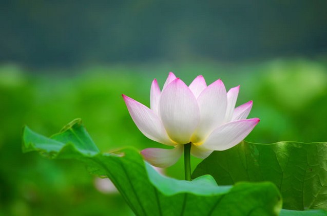 善能获五福，恶能感六极
