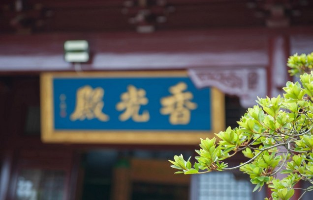 弥陀光明没有障碍，为何我们感知不到