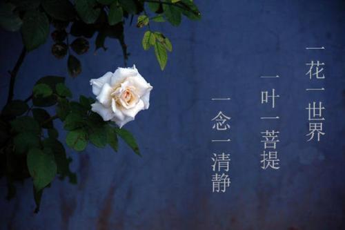 受到了伤害遭受痛苦，也是有大利益的