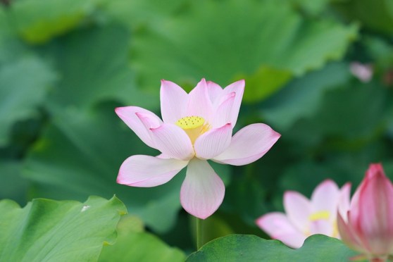 人生别总拿什么都当回事