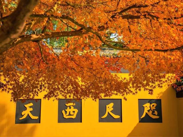 全佛是心，心外无有佛为心所念