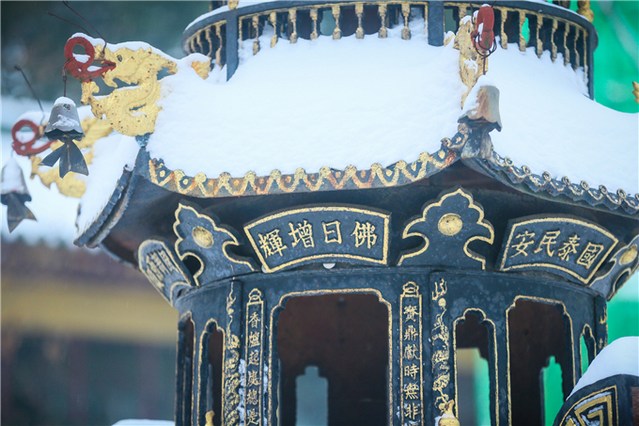 放掉妄想，才有办法对治它