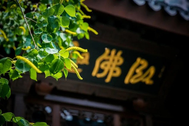 知道前生是出家人，何不恢复出家人的事业