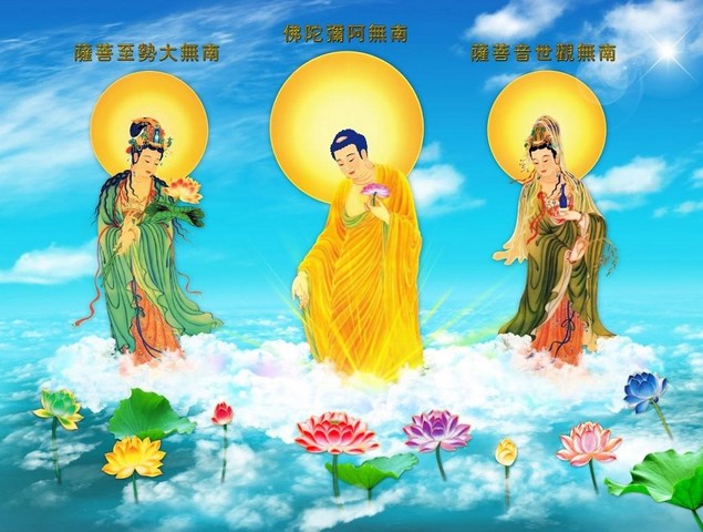 花季在极乐绽放——肺癌少女往生故事