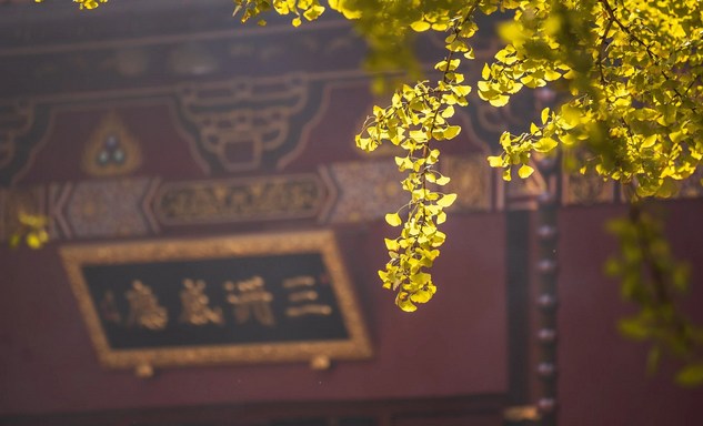 年轻时造了很多增长业，现在要如何补救