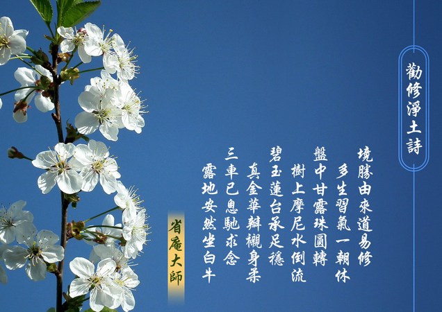 省庵大师的净土情怀