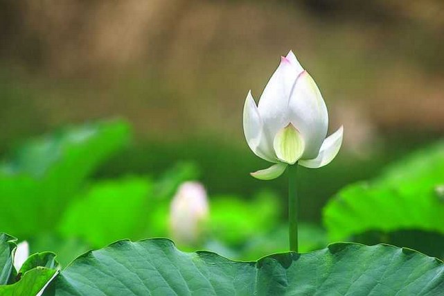 憨山大师彻悟心性的故事