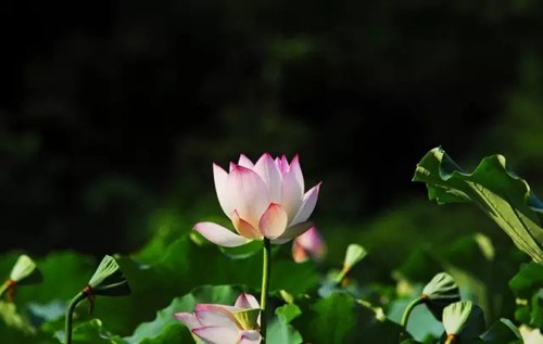 吉凶祸福不是定论，随时可以转变的