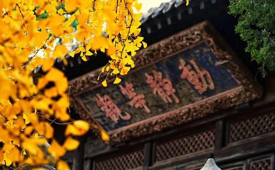 「随缘」与「攀缘」本质上的不同