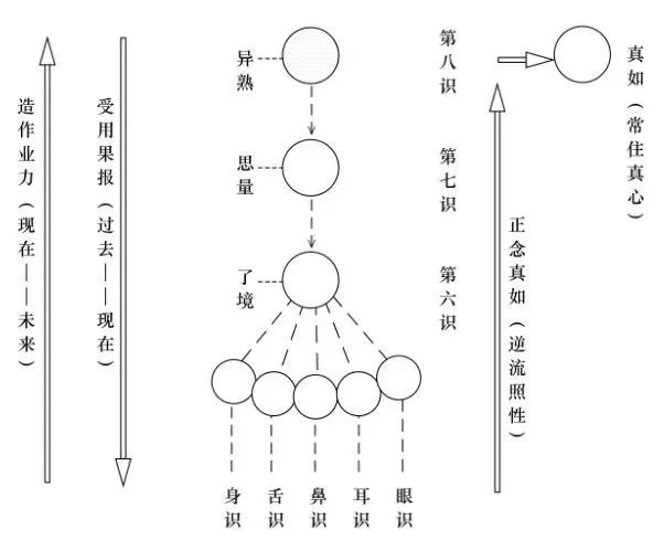 身处生死轮回，我们该怎么办