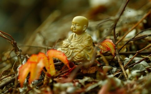 观心无常，调伏我见的颠倒