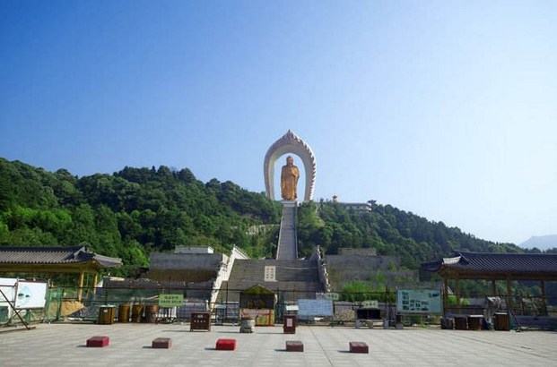 米面生了虫，应该怎么办