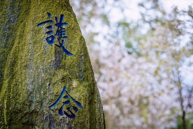 所有一丝一毫之善，皆悉以此回向往生