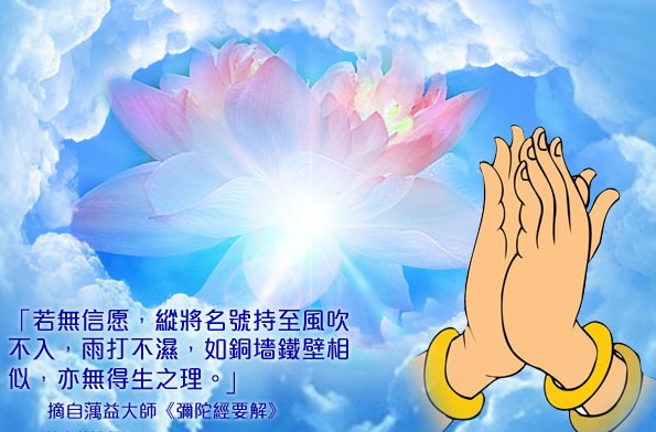 今生可能是你无量生命里最美好的一次