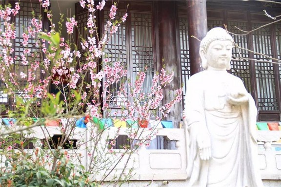 我在职场的戒烟戒酒经验