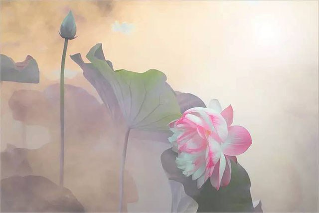要破执著，必须先破你的分别
