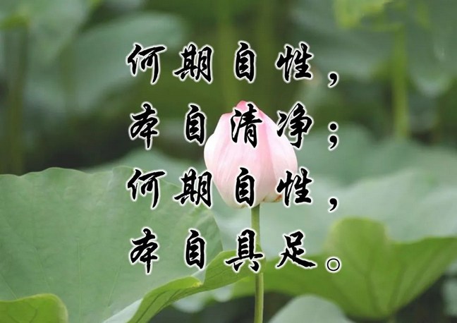 「心不在内、不在外」是什么含义